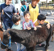 ポニーに触れる子供たち