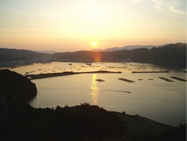夕日