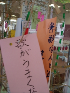短冊の願い事１