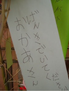 短冊の願い事２