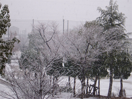 雪景色1