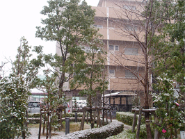 雪景色3