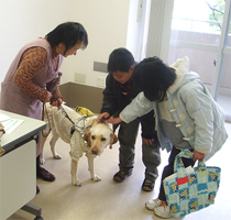 盲導犬の頭をなでる子供たち