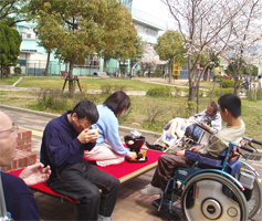 桜の前で抹茶を飲む風景1