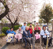桜の下で集合写真