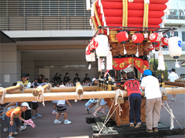 お神輿を覗く様子