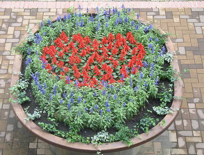 ハート形の寄せ植え