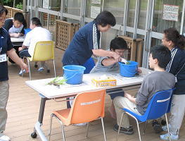 田植え2