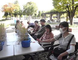 稲刈りの様子1