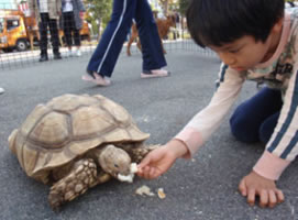 移動動物園の様子4