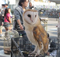 移動動物園の様子6