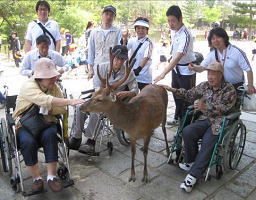 一泊旅行IN奈良(5月17日~18日)2