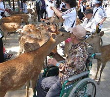 一泊旅行IN奈良(5月17日~18日)4