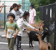移動動物園2