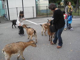 移動動物園3