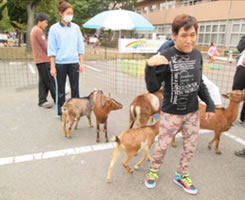 秋のふれあいフェスティバル 移動動物園5