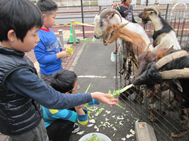 秋のふれあいフェスティバル3