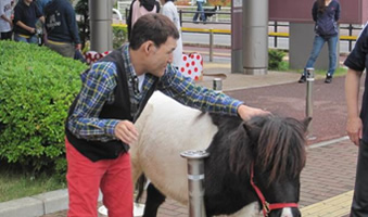 秋のふれあいフェスティバル6