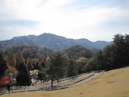 一泊旅行INしあわせの村4