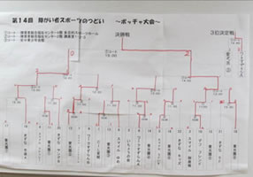 第14回障がい者スポーツのつどい~ボッチャ大会~11