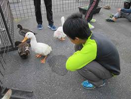 秋のふれあいフェスティバル~移動動物園~-8