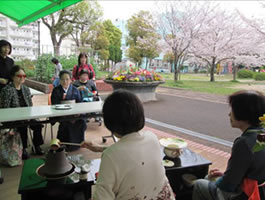 茶道野点-5