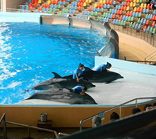 3階デイ1泊旅行-7