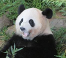 3階デイ1泊旅行-9
