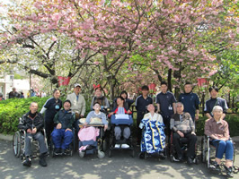 造幣局お花見-1