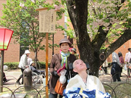 造幣局お花見-5