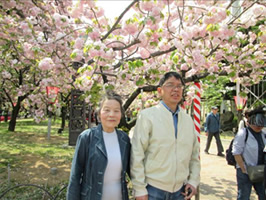 造幣局お花見-6
