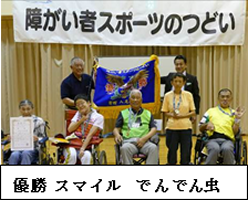 第17回障がい者スポーツのつどい~ボッチャ大会~-5