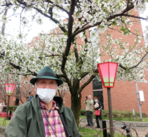 造幣局の特別観桜-4