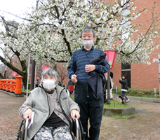 造幣局の特別観桜-6