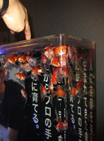 5階デイ遠足~奈良方面~-1